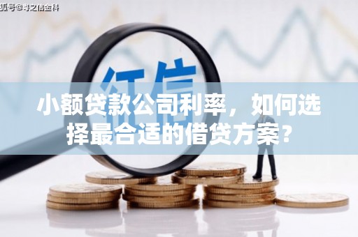 乐安小额贷款公司利率，如何选择最合适的借贷方案？
