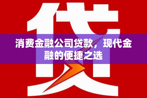 乐安消费金融公司贷款，现代金融的便捷之选