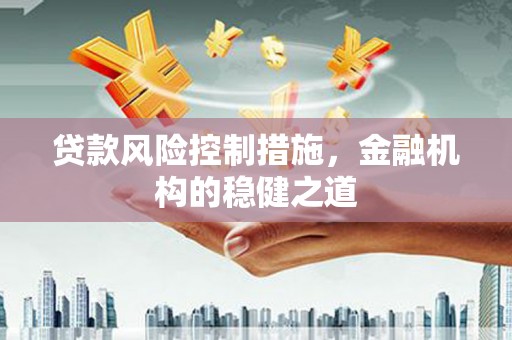 乐安贷款风险控制措施，金融机构的稳健之道