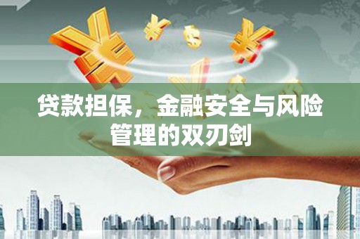 乐安贷款担保，金融安全与风险管理的双刃剑