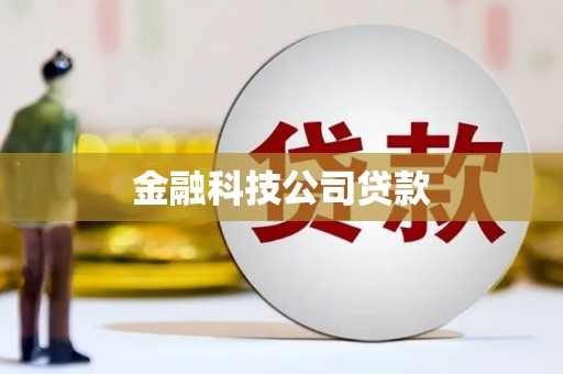 乐安金融科技公司贷款