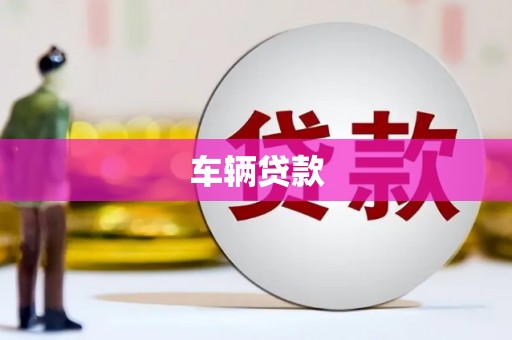 乐安车辆贷款