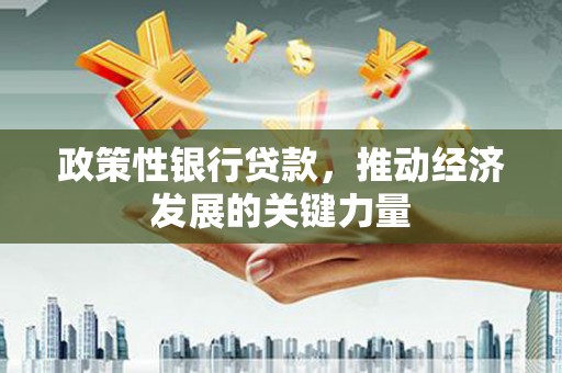 乐安政策性银行贷款，推动经济发展的关键力量