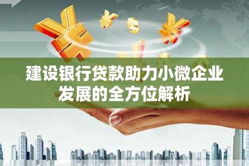 乐安建设银行贷款助力小微企业发展的全方位解析