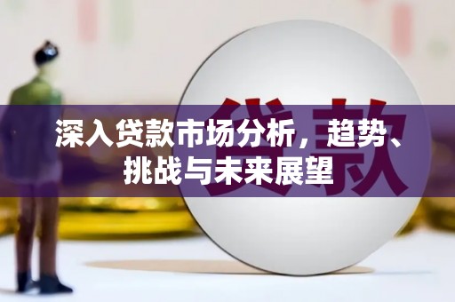 乐安深入贷款市场分析，趋势、挑战与未来展望