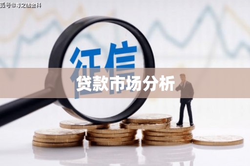 乐安贷款市场分析