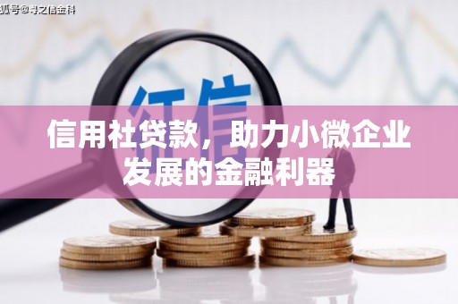 乐安信用社贷款，助力小微企业发展的金融利器