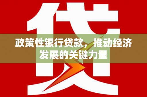 乐安政策性银行贷款，推动经济发展的关键力量