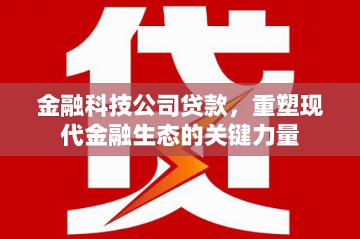 乐安金融科技公司贷款，重塑现代金融生态的关键力量