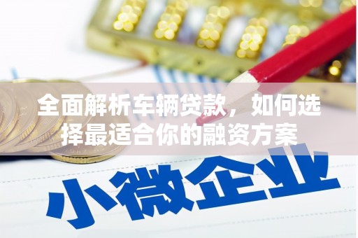 乐安全面解析车辆贷款，如何选择最适合你的融资方案