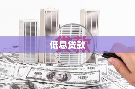 乐安低息贷款