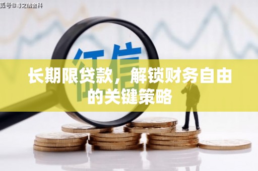 乐安长期限贷款，解锁财务自由的关键策略