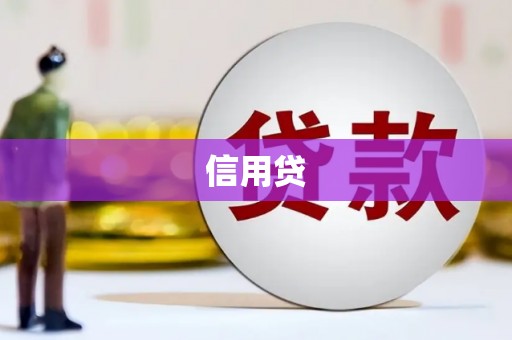 乐安信用贷