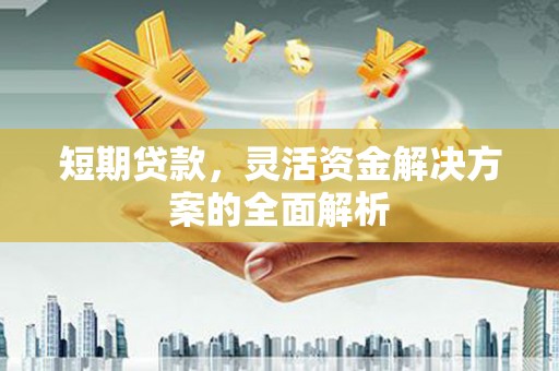 乐安短期贷款，灵活资金解决方案的全面解析