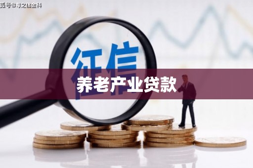 乐安养老产业贷款