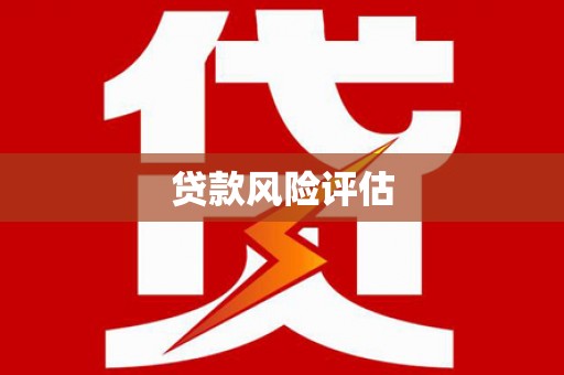 乐安贷款风险评估