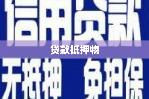 乐安贷款抵押物