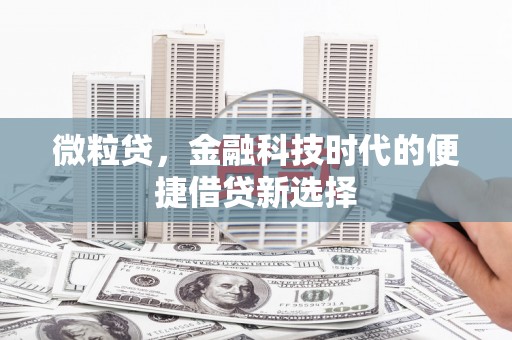 乐安微粒贷，金融科技时代的便捷借贷新选择