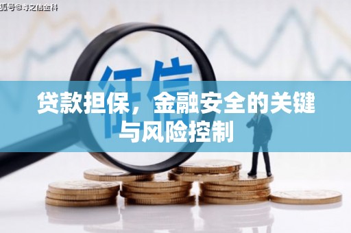 乐安贷款担保，金融安全的关键与风险控制
