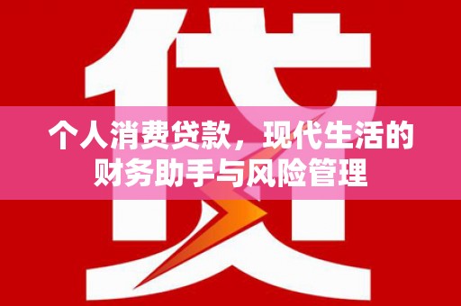 乐安个人消费贷款，现代生活的财务助手与风险管理