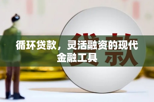 乐安循环贷款，灵活融资的现代金融工具