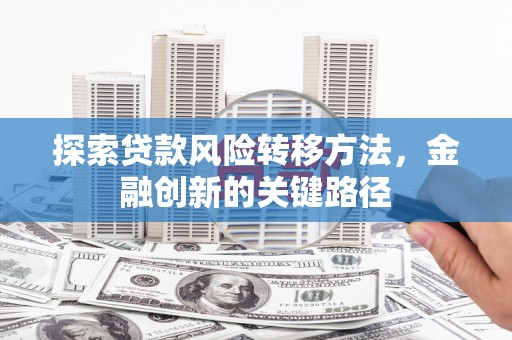 乐安探索贷款风险转移方法，金融创新的关键路径