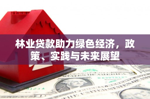 乐安林业贷款助力绿色经济，政策、实践与未来展望