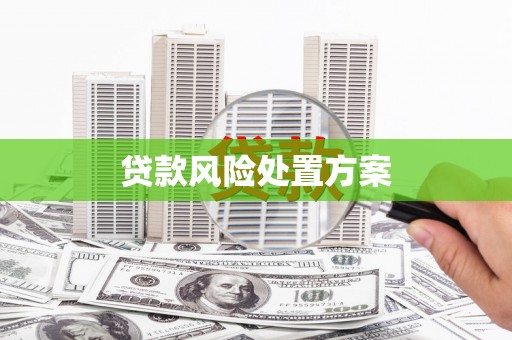 乐安贷款风险处置方案