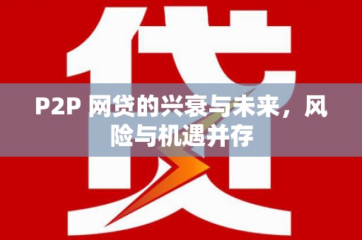 乐安P2P 网贷的兴衰与未来，风险与机遇并存