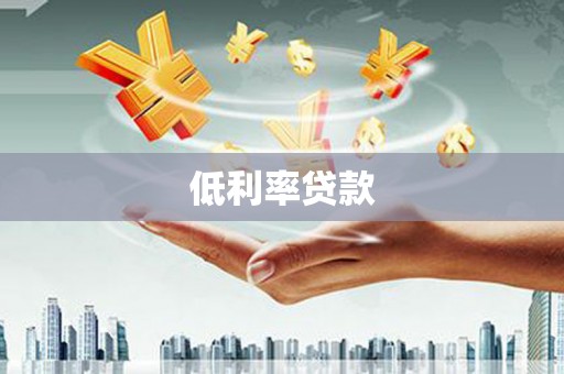 乐安低利率贷款