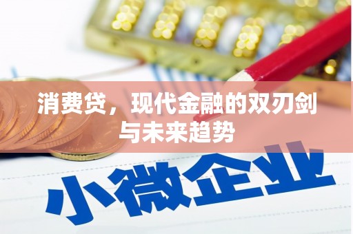 乐安消费贷，现代金融的双刃剑与未来趋势
