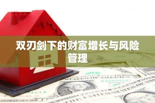 乐安双刃剑下的财富增长与风险管理