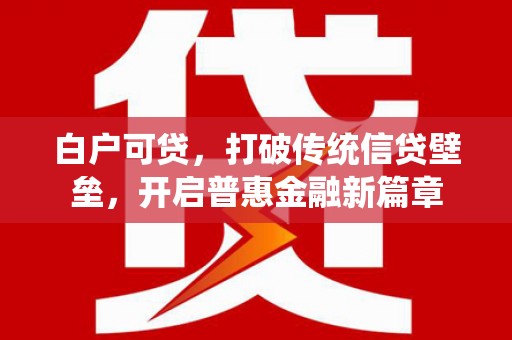 乐安白户可贷，打破传统信贷壁垒，开启普惠金融新篇章