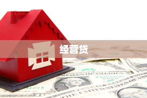 乐安经营贷