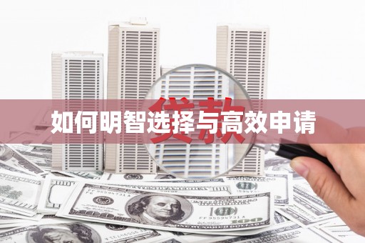乐安如何明智选择与高效申请