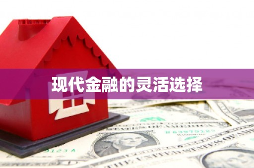 乐安现代金融的灵活选择