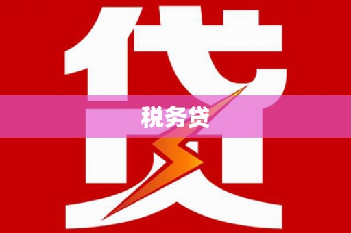 乐安税务贷