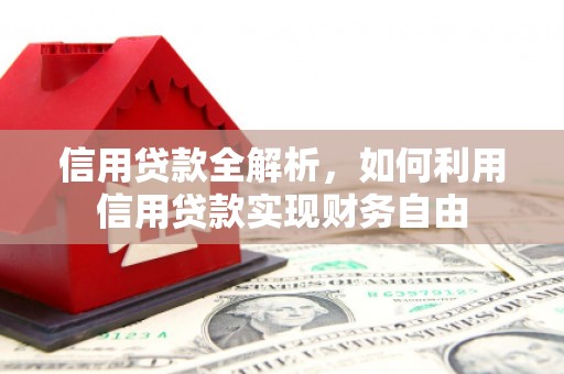 乐安信用贷款全解析，如何利用信用贷款实现财务自由