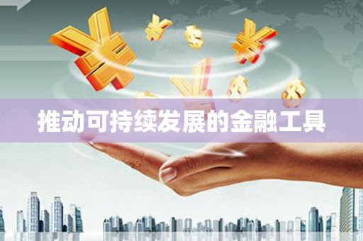 乐安推动可持续发展的金融工具