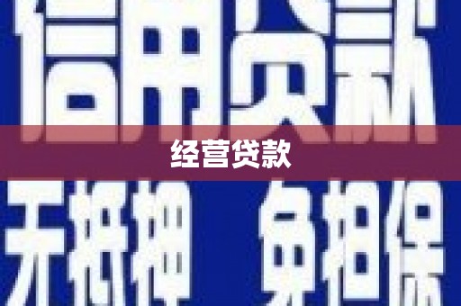 乐安经营贷款
